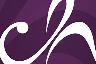 Logo/Branding CH